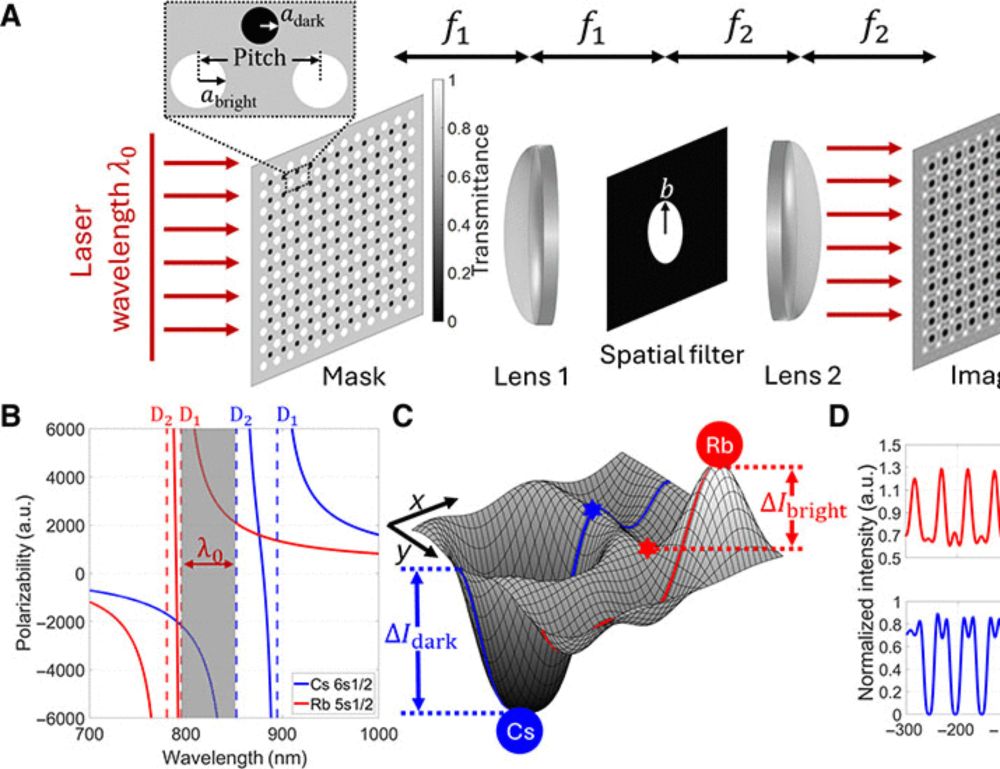 Interleaved dual-species arrays of single atoms using a passive optical element and one trapping laser