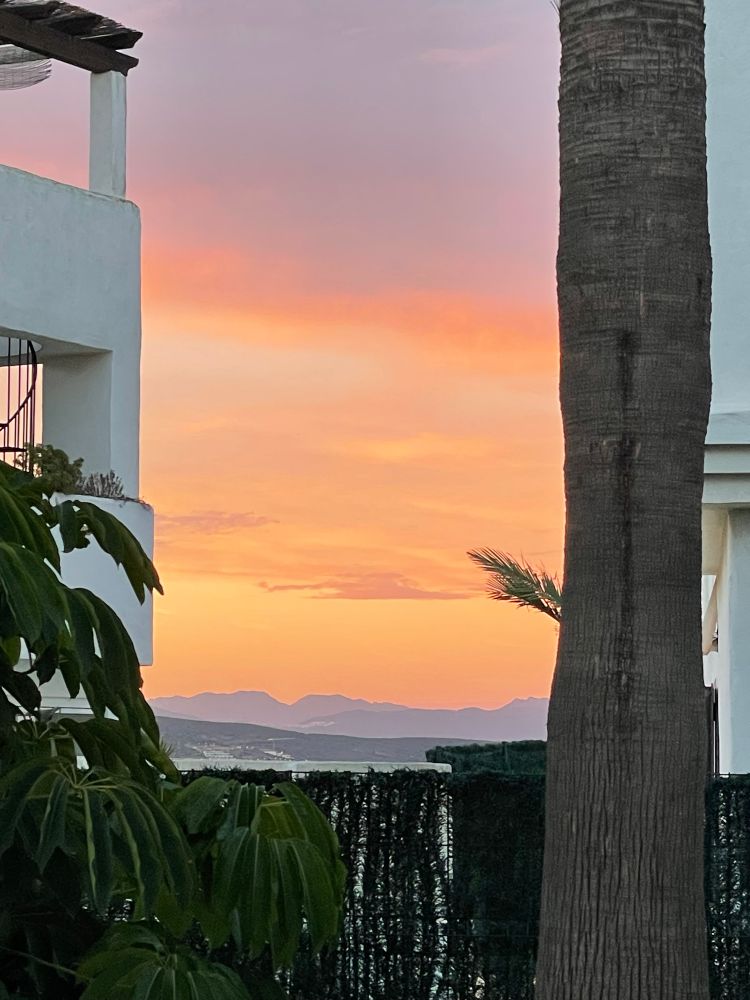 Zoom auf den wunderschönen gelb-orangen Abendhimmel zwischen den Häusern an einer Palme vorbei. 