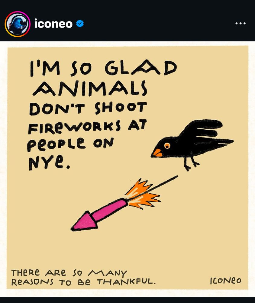 Post von Iconeo: 

Zeichnung eines Vogels, der eine Silvesterrakete nach unten anfeuert.  

Text: I'M SO GLAD ANIMALS DON'T SHOOT FIREWORKS AT
PEOPLE ON NYE

Text Unterzeile: THERE ARE SO MANY REASONS TO BE THANKFUL.