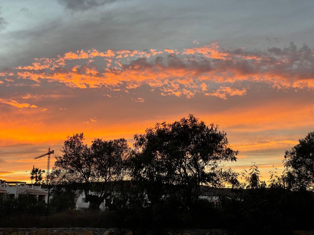 Gelb-Orange glühende Wolken am Himmel über Bäumen. 