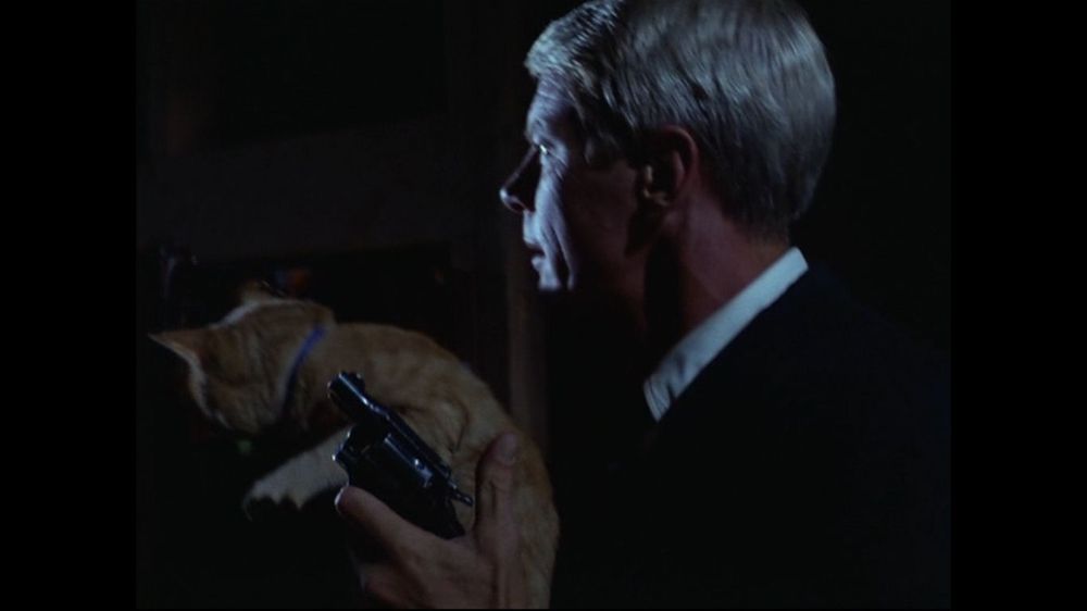 peter graves in an episode of "mission: impossible" from i think 1967. he holds an orange cat and a gun. this episode actually happened i am not making this up.