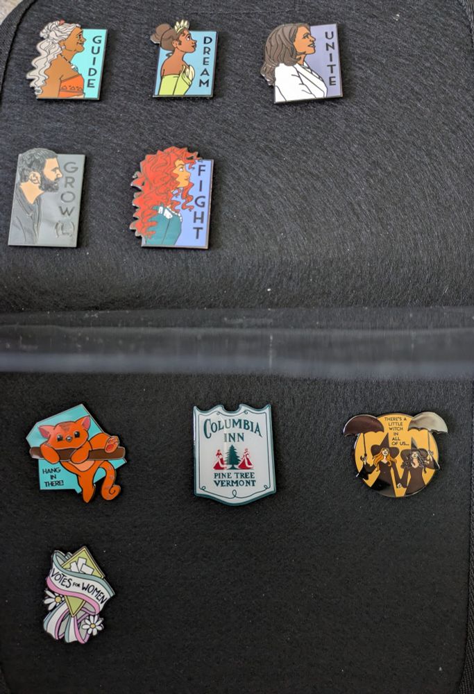 Picture of 9 enamel pins 
She series - Guide, Dream, Unite Kamala Harris, Fight
He series - Growl
Hang in There
White Christmas Movie Decor Columbia Inn
A Little Witch in All of Us
Votes for Women