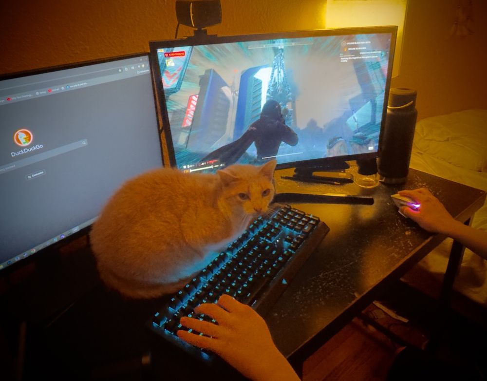 Diamond the orange cat, curled up above a keyboard that someone is trying to use to play “Helldivers”