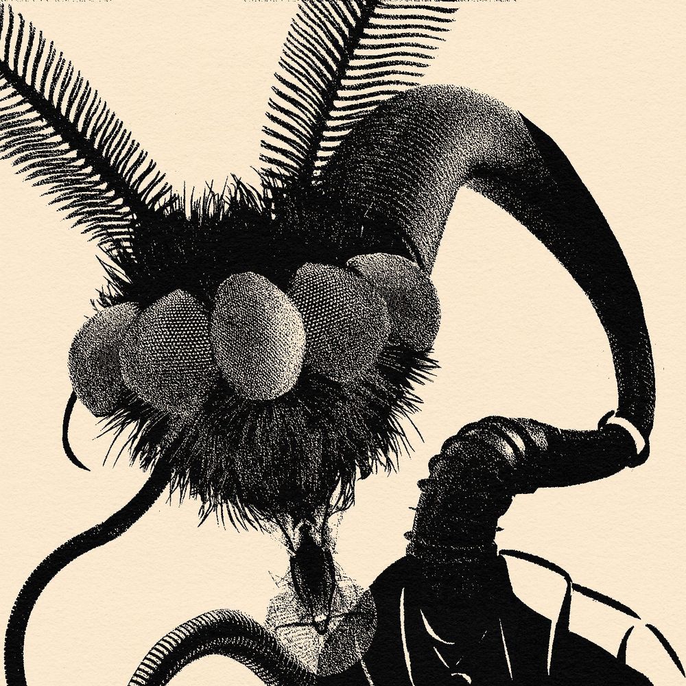 a collage of a strange serpentine insect monster. her face brung up uncomfortably close to the viewer, and is covered in dark bug hairs and a ring of compound eyes wraps around that face, and it also features moth-like fuzzy antennae and fly mouthparts.  connected to it is an extremely long segmented serpentine neck that loops back in the distance before connecting back to sinclaire's still-humanoid torso, still wearing her clothes. from there we only see a part of the long and winding tail in the background