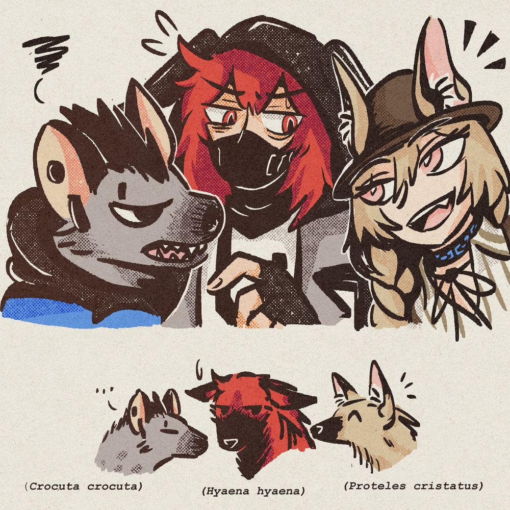 art of three characters from arknights. on the left, spot, a grumpy-looking anthropomorphized spotted hyena wearing a jacket. on the right is beanstalk, a girl with a relaxed but cheerful expression with big ears poking out of her hat. these two characters are both leaning in close to the character in between, crownslayer, a hooded woman wearing a black facemask who is looking fairly uncomfortable from the proximity of these unfamiliar people. at the bottom is a small doodle of each as the animal they represent and their scientific names, with spot obviously being the spotted hyena, crownslayer being the striped hyena, and beanstalk being the aardwolf