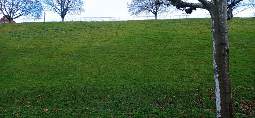 A slope of nice green grass, must be nice to sit on them but funny enough I never tried during the 3 years there