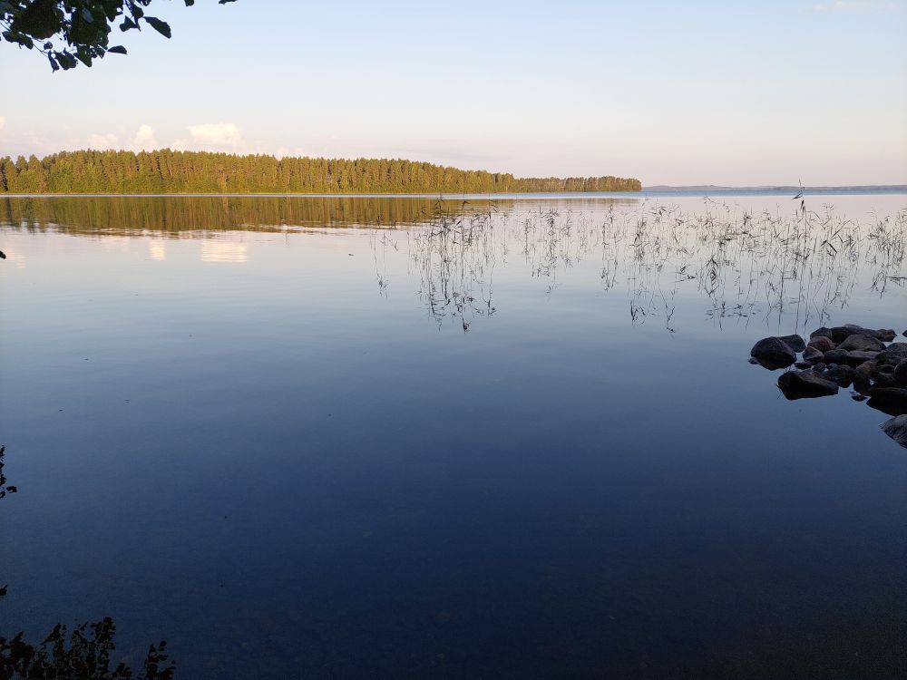 Lähes peilityyni järven pinta, hiukan kaisloja, oikealla kivikkoa ja taustalla niemi.