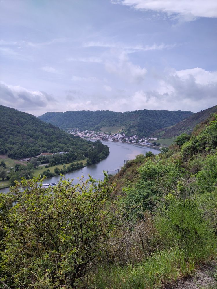 Blick vom Wanderpfad auf die Mosel