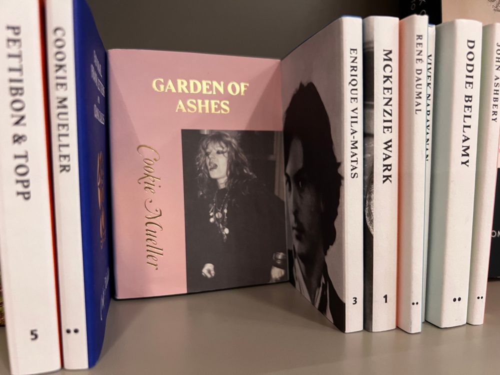 A selection of Hanuman Editions. Faces out is Garden of Ashes by Cookie Mueller