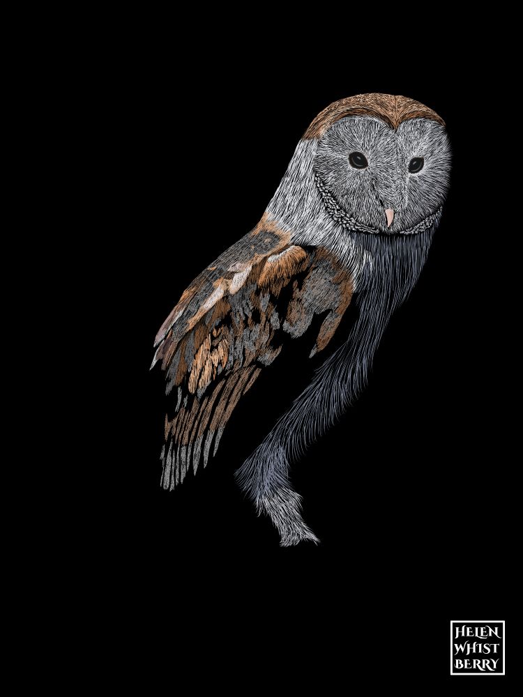Unfinished digital painting of a barn owl with body turned to the right and its face turned more toward the viewer but still looking off to the right. Its head and body have been roughly sketched in and the feathers on its wings partially started but its feet and tail and part of the wing are just blank against a black background.