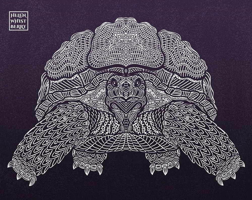 Illustration in white ink against a purple background of a large land tortoise facing the viewer. The tortoise is drawn in intricate detail with many patterns to emphasize shape and form rather than being a strictly realistic portrayal. 