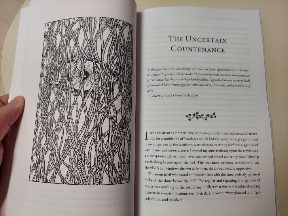 Photo showing inside pages of a paperback book. There is an illustration on the left hand side of an eye peeking through rope like strands of hair that nearly cover it, creating an eerie effect. On the right hand side is the first page of a chapter in the book. Text reads: The Uncertain Countenance “To the casual observer, these beings are dull and plain, ciphers not worth the trouble of decoding and easily overlooked. Only to their most intimate acquaintances is it revealed that they are both god and goddess. Legends of arcane memory built of corrupted bone strung together with taut sinew, lost souls, and a modicum of spite.” –excerpt from A Grimoire Malign

I was comfortably ensconced between cool, linen bedsheets, still naked but for a multitude of bandages which hid the many outrages performed upon my person by the carnivorous crustaceans. A strong perfume suggestive of wild thyme and lemon arose as I moved my arms restlessly upon the covers, and a contraption such as I had never seen twirled round above my head, blowing a refreshing breeze upon the bed. This was most welcome, as even with the chamber’s tall windows thrown wide open, the air was hot and oppressive.
The room itself was round and constructed with the same perfectly spherical rocks of the shore below the cliff. The regular and repeating arrangement of stones was soothing to the part of my intellect that was in the habit of seeking patterns in everything about me. Their dark brown surfaces gleamed as if regularly dusted and polished.