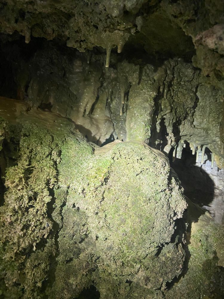 A small cove with tufa forming 
