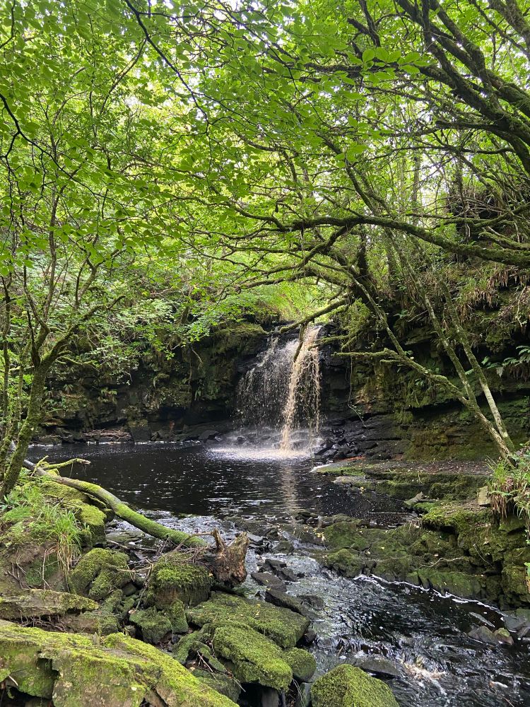 A view of one of the waterfalls and plunge pool bordered by gorge walls and trees 