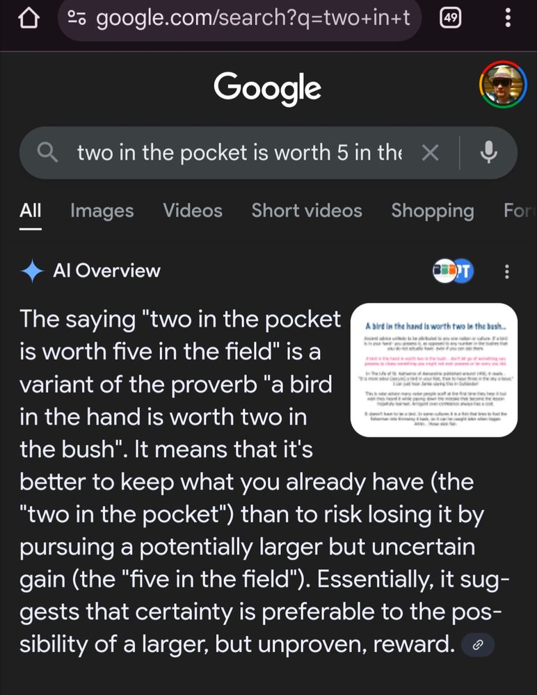 A Google screenshot of a saying created to play with AI

2 in the pocket is worth 5 in the field