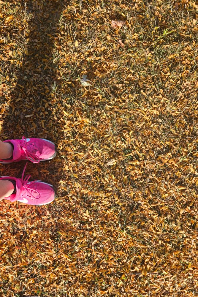 Pink sneakers and orange leaves.