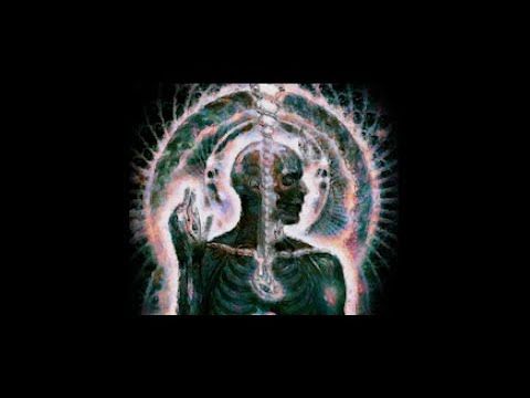 Tool - Ænema (lyrics)