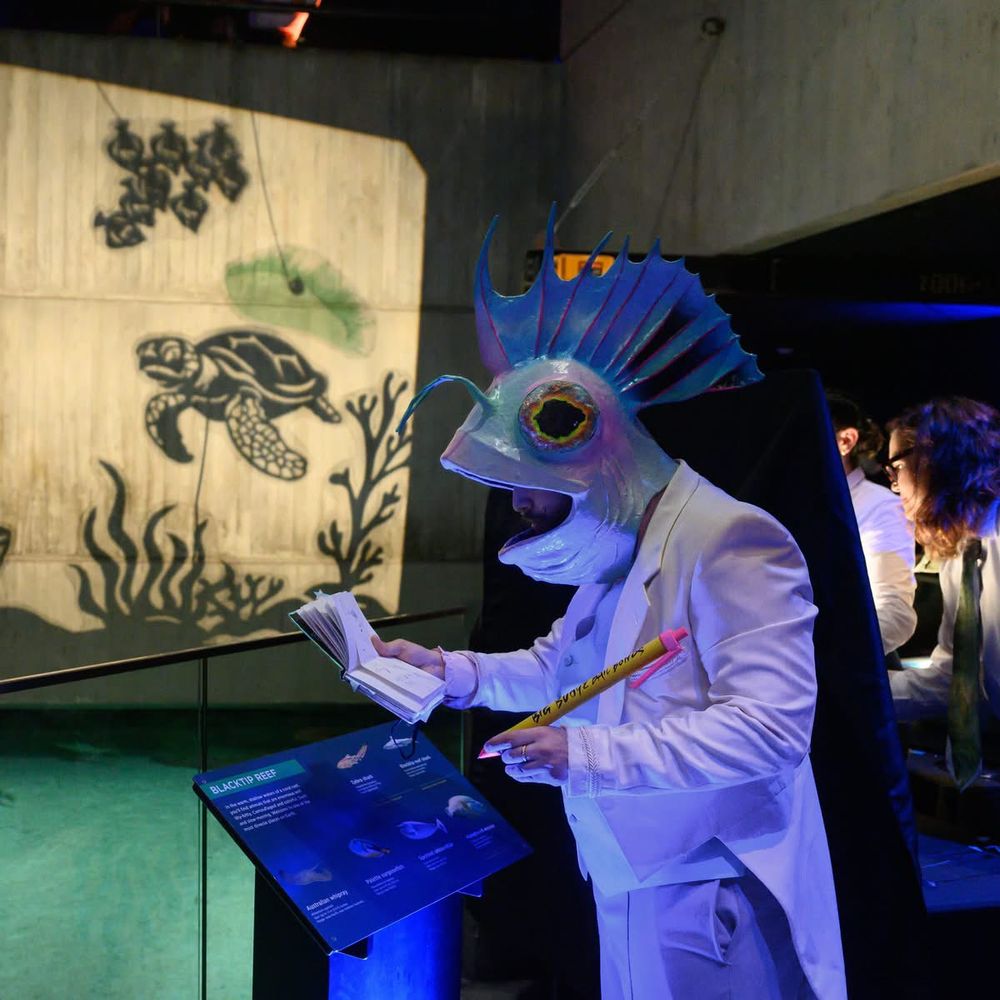 A person in what is now my fish head mask standing before the projected image from a shadow puppet show which depicts a sea tortoise making its way across the sea bottom. The person is holding a notepad and giant pencil. They are wearing a blue vest, pink shirt, and white jacket. The pants are perhaps lavender, but it's hard to say in the light of the aquarium. Though the mask cannot be seen in its full color due to that light, it's opalescent, with pinks, and blues, and greens, and large yellow and red eyes with black pupils. There's a large tail fin coming out the back, with red veins. There are also two green antennae.