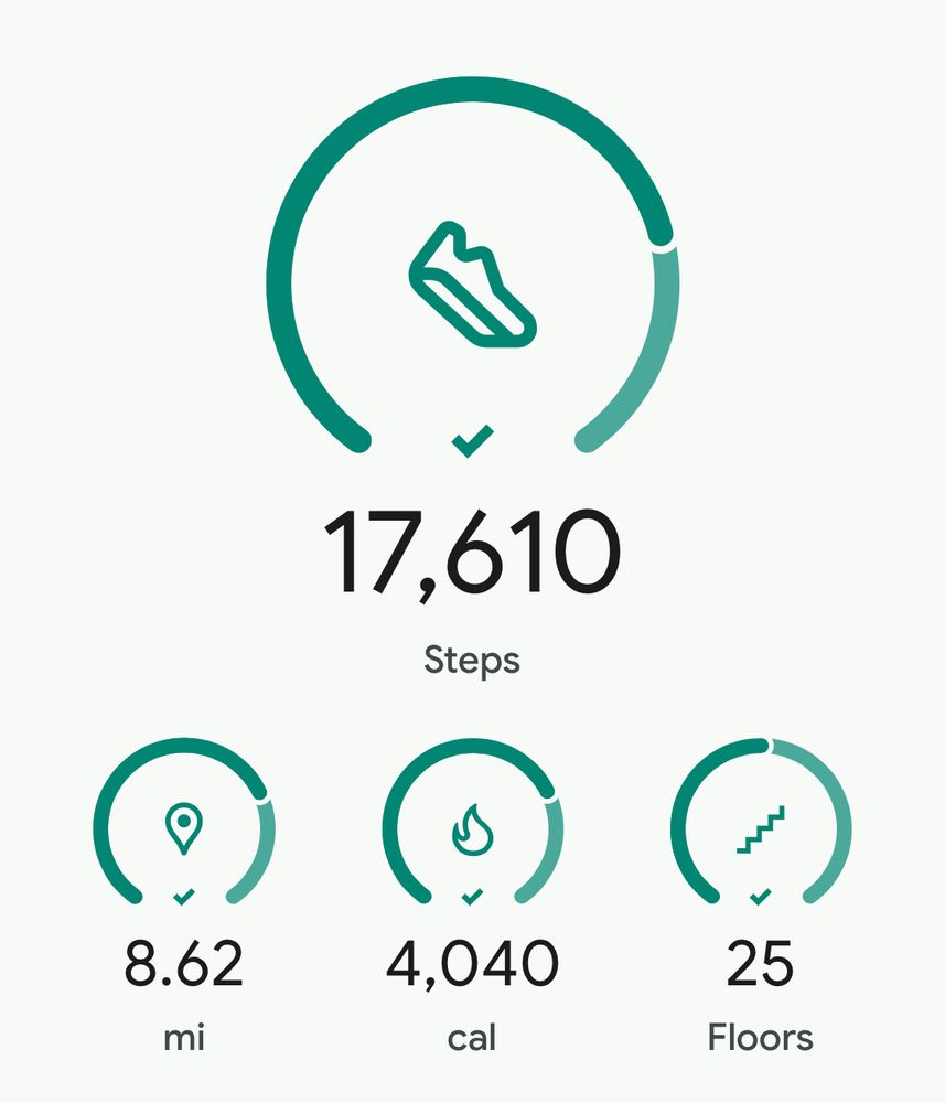 Circle graphics from Fitbit indicating my achievements as well as the numbers. 17,620 Steps
8.62 Miles
4,040 Calories
25 Floors