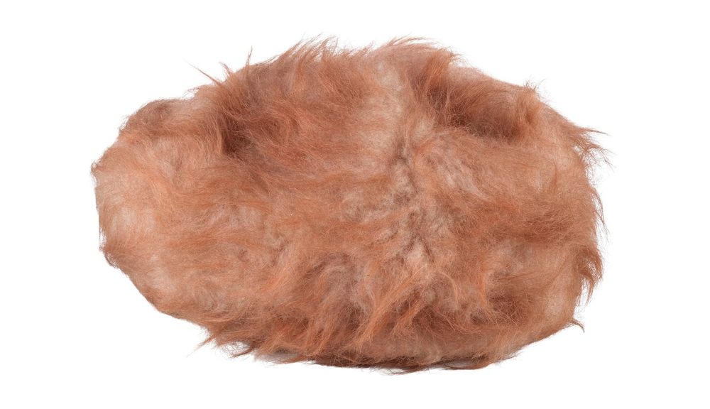 A balding tribble.