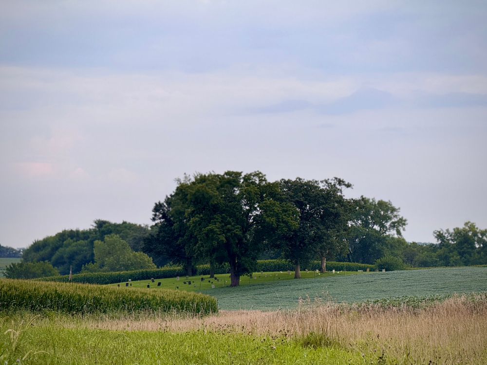 The cemetery viewed from a nearby hill. A couple big old trees and some farms. Twilight 