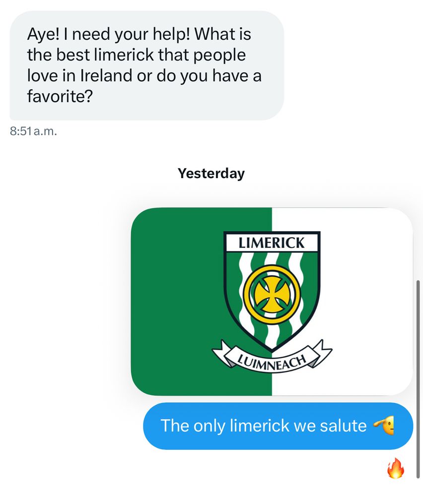Screenshot of messages where someone is asking me if there are any limericks beloved in Ireland and me replying with the county limerick flag as a joke 
