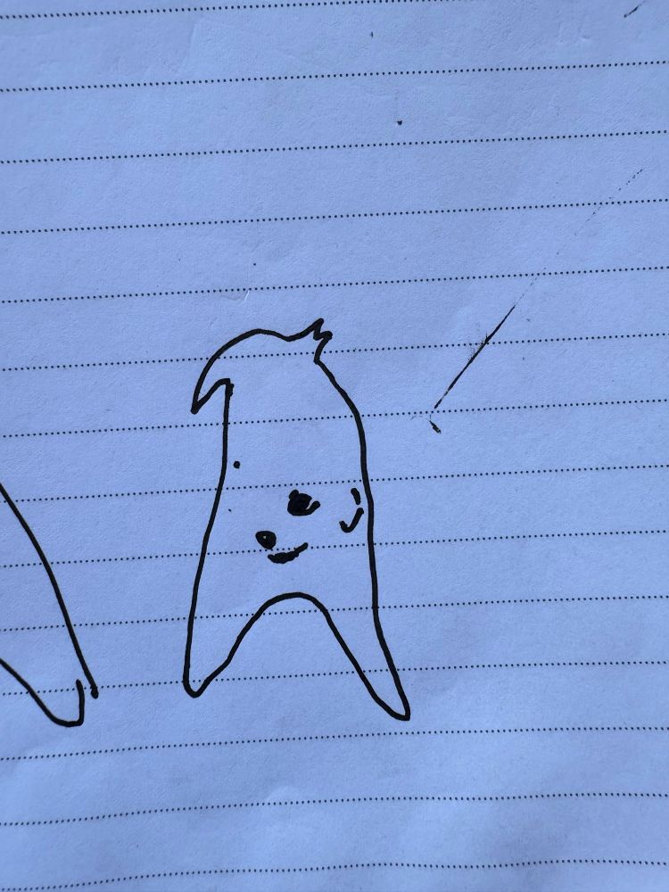 Poor sketch of the triangle/capital letter A shaped white dog above, emphasising the shape 