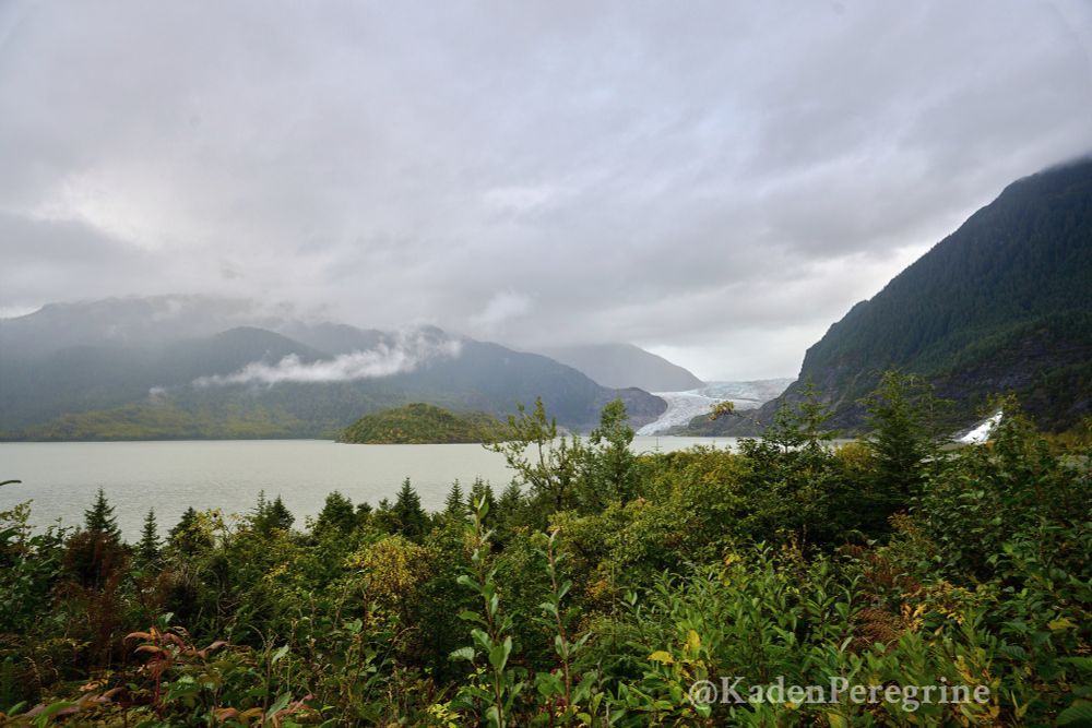 View across green and gold trees and scrub to a lake. On the far side of the lake are mist-shrouded hills, and what looks at first like a river flowing down into the lake. However, the river is frozen in place: a glacier with a flowing texture.