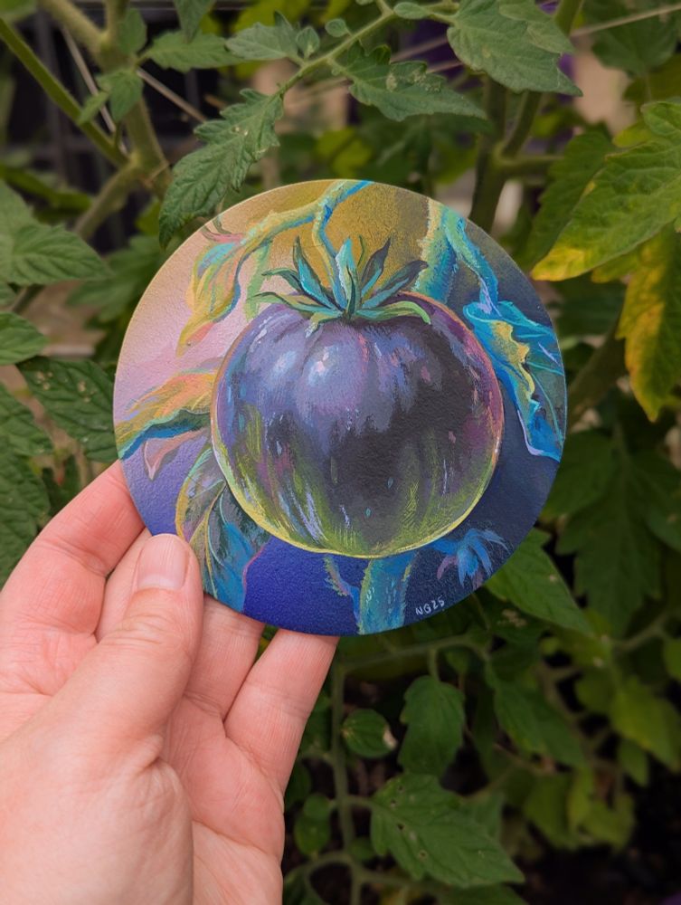Artist holding 4" coaster original painting of a dark purple tomato with green.
