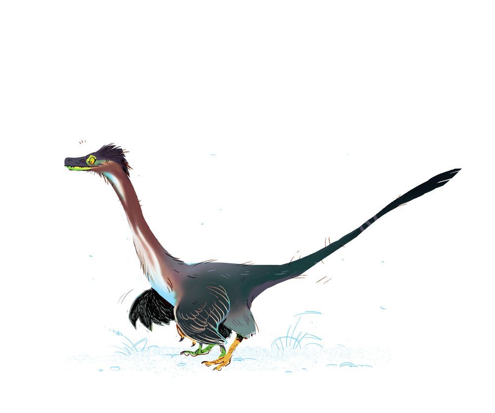 A small dromaeosaurs with green heron markings and a REALLY LONG neck!
