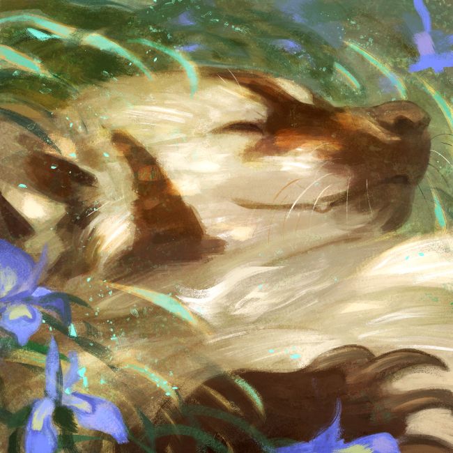 An American badger sleeping among iris flowers. For EmilyLubanko in 2022