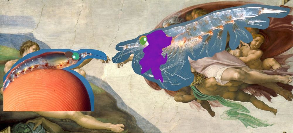 Creation of Adam renaissance painting with me and my boyfriend as Krill poorly photoshopped on top of Adam and God