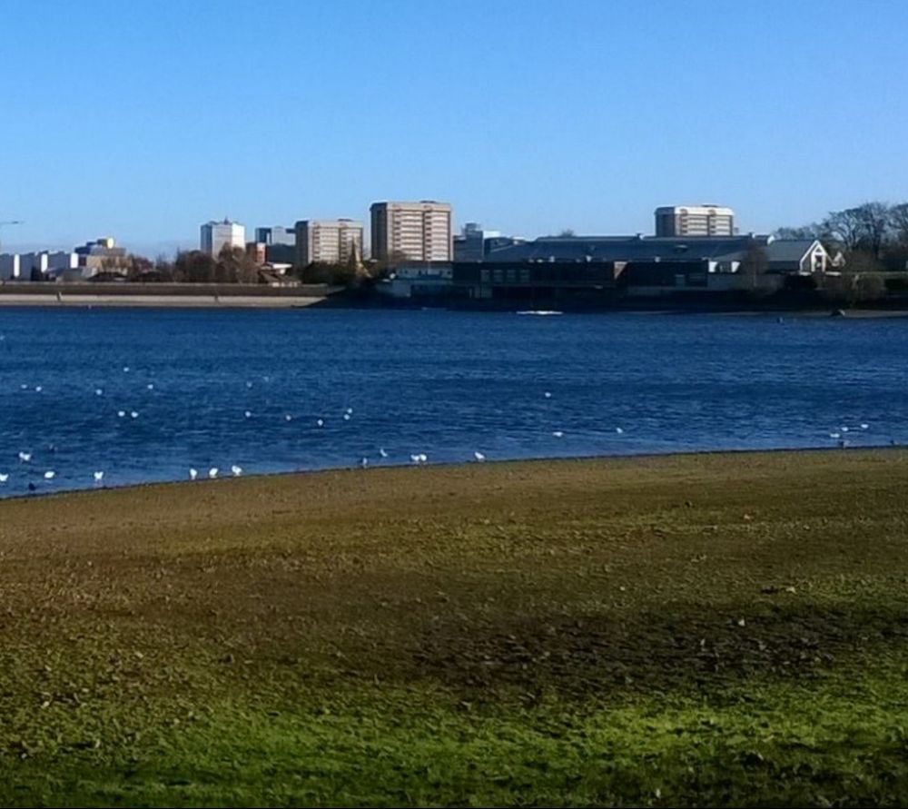 Skyline of Birmingham City Centre viewed from Edgbaston Reservoir in 2015.