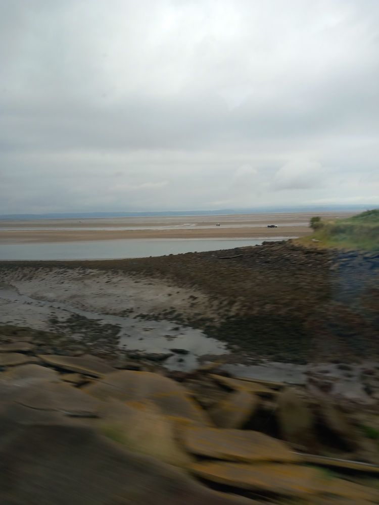 View of an estuary from a train window