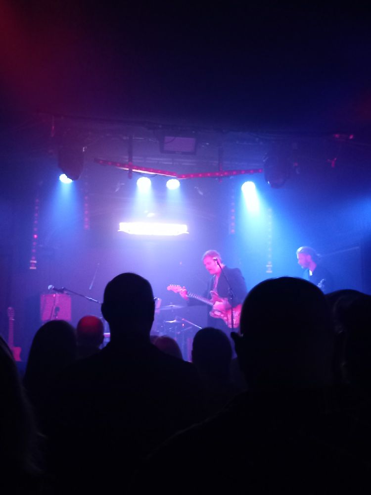 Ed Harcourt playing a guitar amongst blue and pink lights