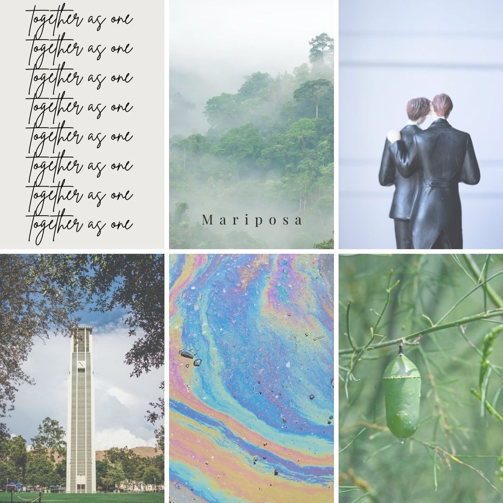 A collage of six images 1. The phrase "together as one" repeating in a downward list, 2. A foggy rainforest, 3. A cake topper with two men, 4. A white clock tower, 5. An oil slick, 6. A green chrysalis 