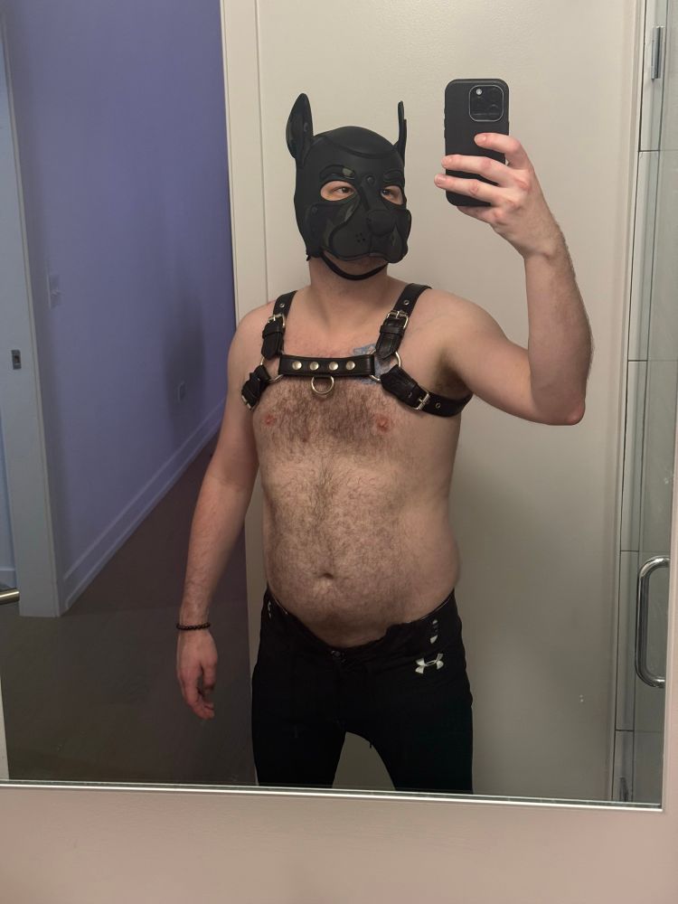 A man wearing a neoprene pup hood, leather bulldog harness, and black Under Armour football pants
