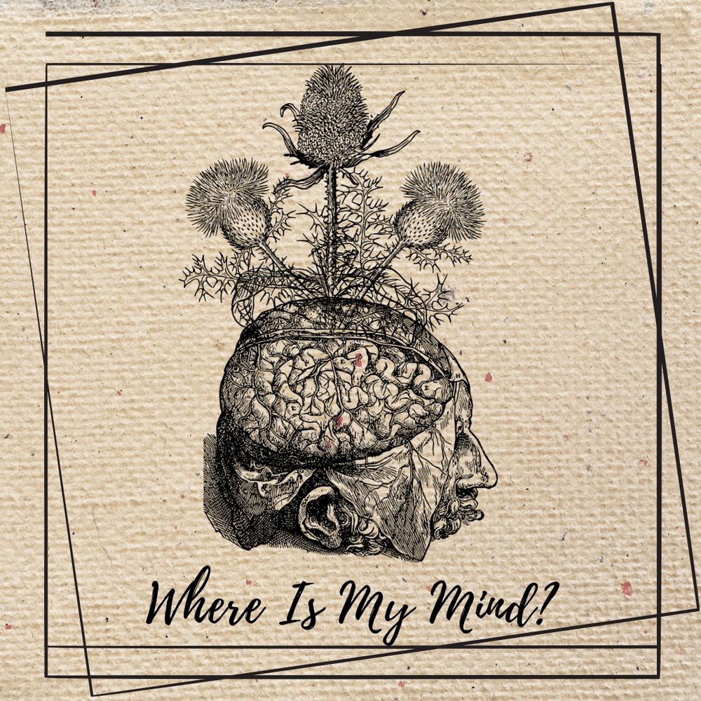 O fundo é como se fosse um tecido velho amarelado, no meio tem uma cabeça humana aberta igual se abre para estudo e de dentro do cérebro saem flores, tudo isso em preto e branco e está escrito embaixo "Where is my mind?" 