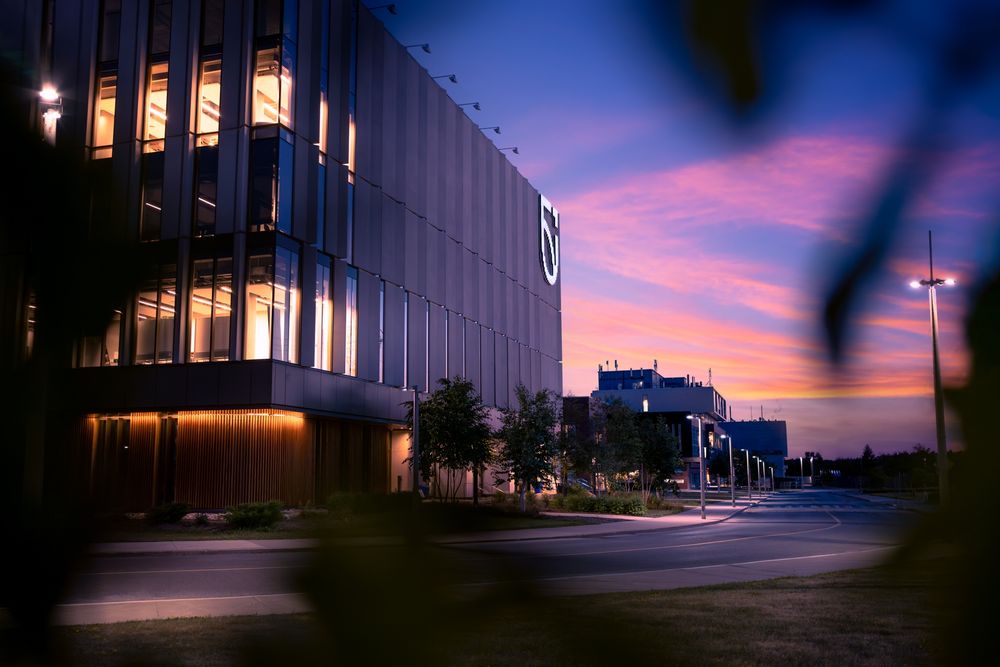 looking through leaves on a tree toward the west where the sun is setting, making the sky light up with shades of blue, purple, yellow and pink. At left is the north side of Shawenjigewining Hall and in the distance you can see the OPG Engineering building and ACE. 
