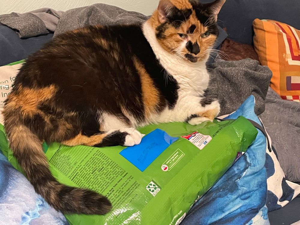 A calico cat lying curled up on an unopened bag of cat food