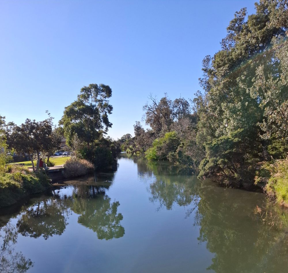 Tree lined creek in Seaford 