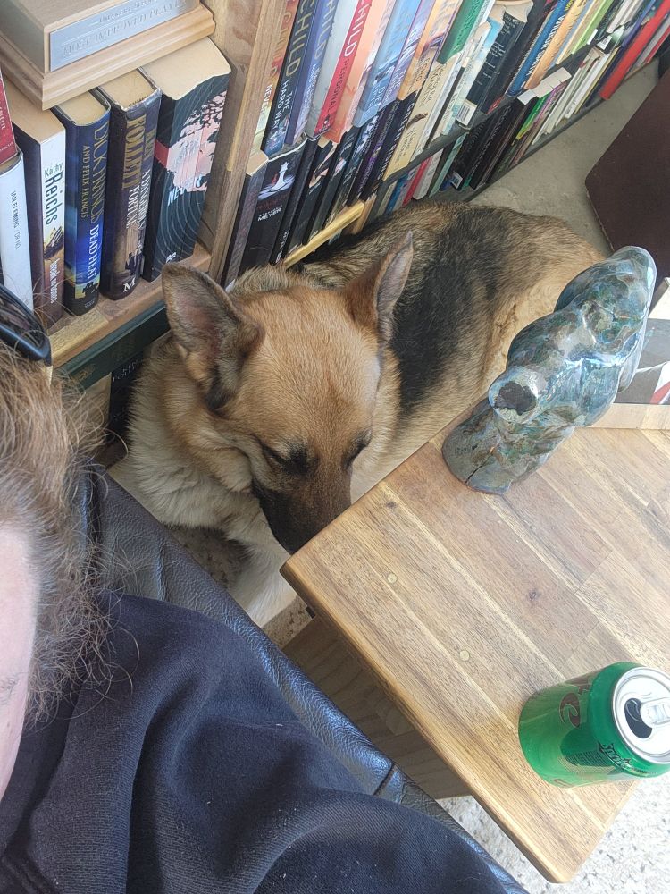 Big dog, little space. 