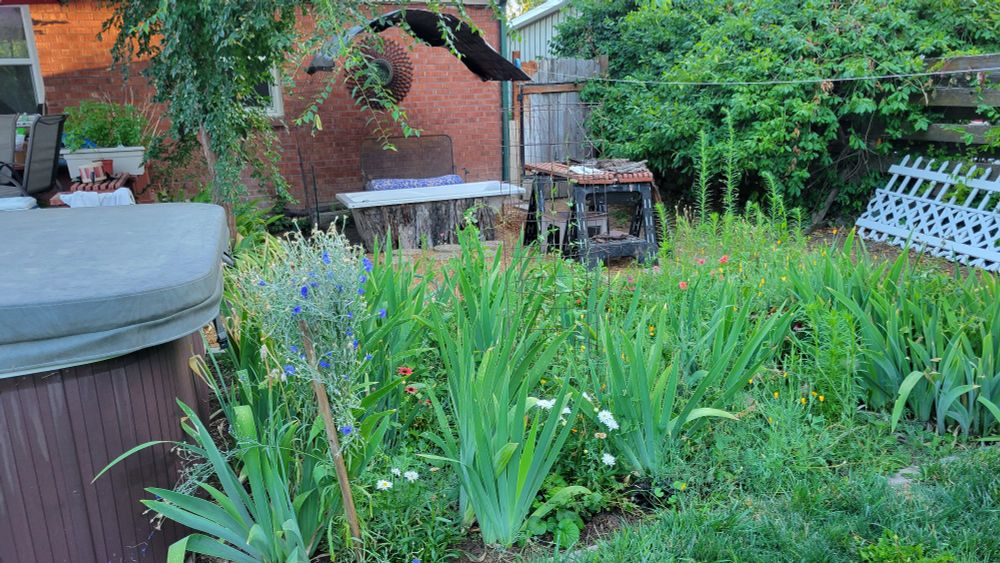 Our flower garden in the foreground with our cool tub behind it