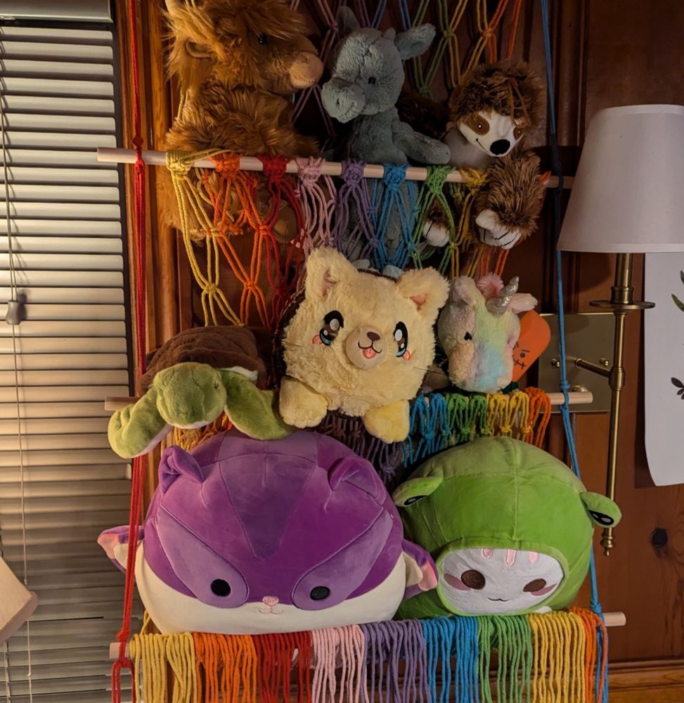 Three-tiered, rainbow, netting with a colorful assortment of plushies hanging on a wall
