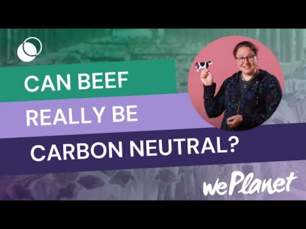 Can beef really be carbon neutral?