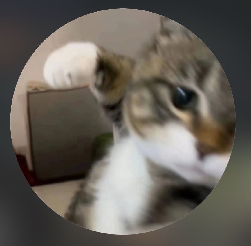 Namjoon’s pfp on Instagram of a cat with its paw raised