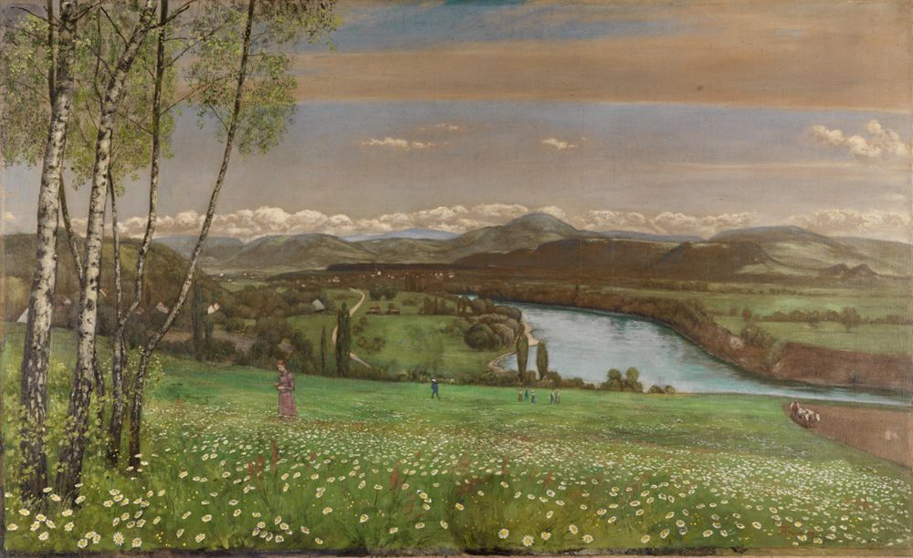 Blumenwiese mit Birken. Im Hintergrund der Rhein und Hügel 