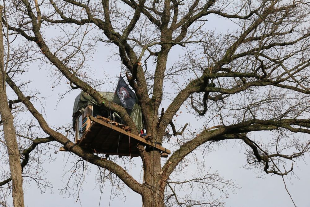 Baumhaus mit Waldstattasphalt Flagge 