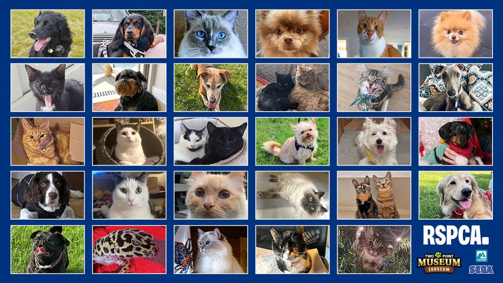 A collage of pet pictures, including dogs, cats, and a gecko! In the bottom right corner are logos for the RSPCA, SEGA, Two Point Studios, and Two Point Museum: Zooseum.