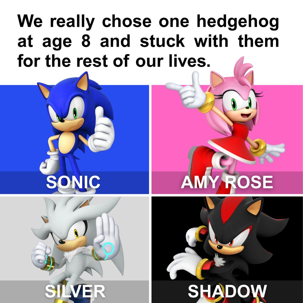 Images of Sonic, Amy Rose, Silver and Shadow, displayed with the caption: We really chose one hedgehog at age 8 and stuck with them for the rest of our lives.